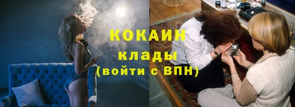 спиды Алзамай