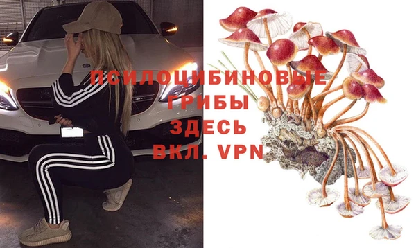 круглые Алексеевка