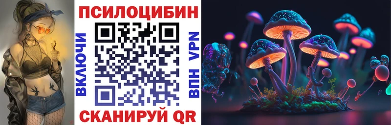 кракен ТОР  Новошахтинск  Галлюциногенные грибы Psilocybine cubensis 